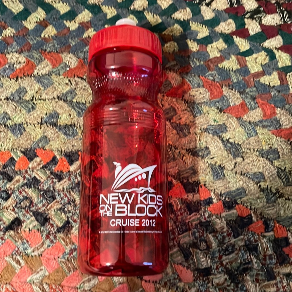 New Kids on the Block NKOTB Tumbler Sippy Cup Cruise 2012